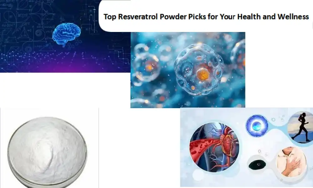 Top Resveratrol Powder Picks for Your Health and Wellness